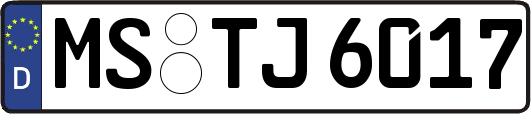 MS-TJ6017