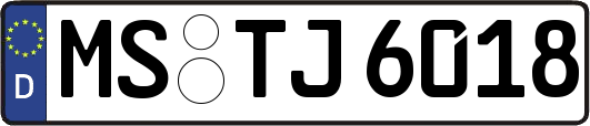 MS-TJ6018