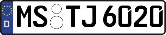 MS-TJ6020