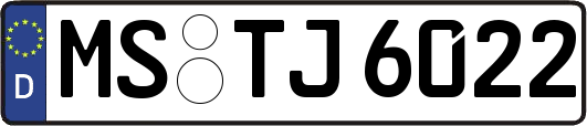 MS-TJ6022