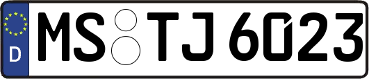 MS-TJ6023