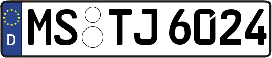 MS-TJ6024