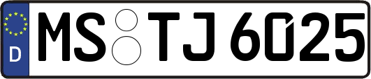 MS-TJ6025