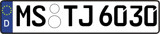 MS-TJ6030