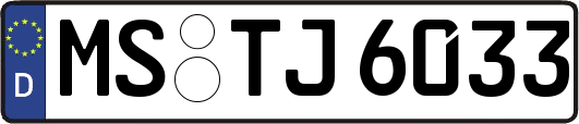 MS-TJ6033