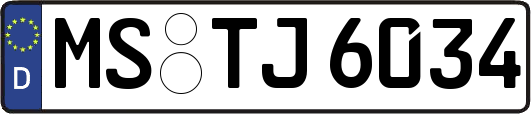 MS-TJ6034