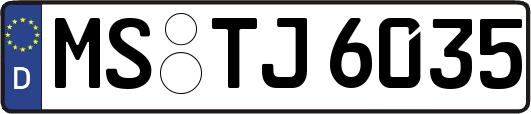 MS-TJ6035