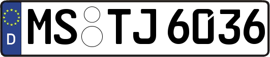 MS-TJ6036