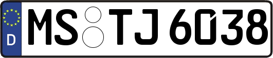 MS-TJ6038