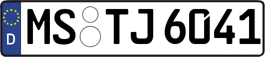 MS-TJ6041