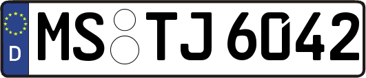 MS-TJ6042