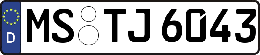 MS-TJ6043