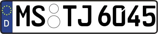 MS-TJ6045