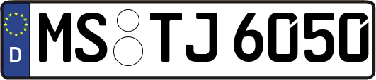 MS-TJ6050