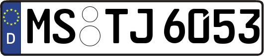 MS-TJ6053