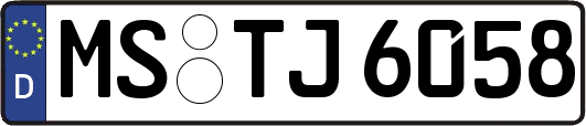 MS-TJ6058