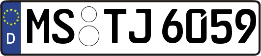 MS-TJ6059