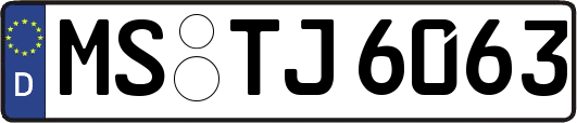 MS-TJ6063