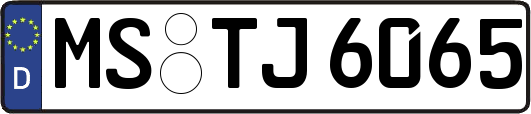 MS-TJ6065
