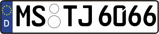 MS-TJ6066