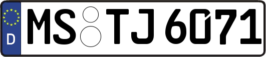 MS-TJ6071