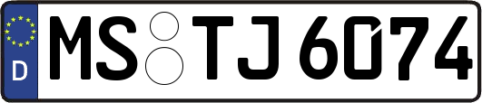 MS-TJ6074