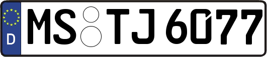 MS-TJ6077