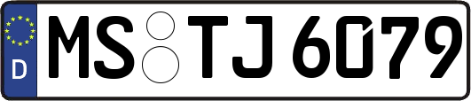 MS-TJ6079