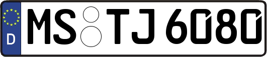 MS-TJ6080