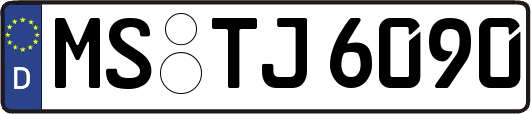 MS-TJ6090