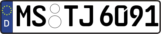 MS-TJ6091