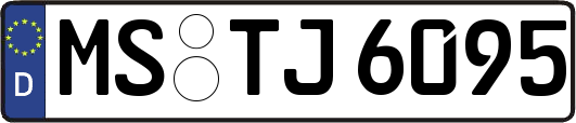 MS-TJ6095