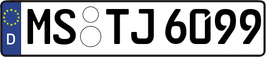 MS-TJ6099