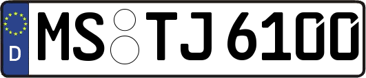 MS-TJ6100