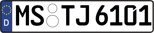 MS-TJ6101