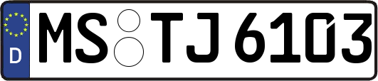 MS-TJ6103