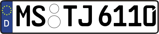 MS-TJ6110