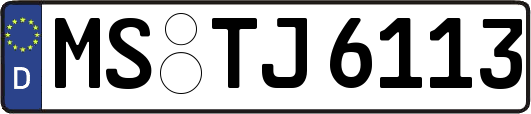 MS-TJ6113