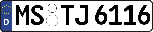 MS-TJ6116