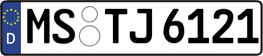 MS-TJ6121