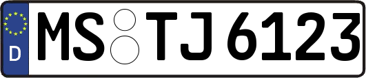 MS-TJ6123
