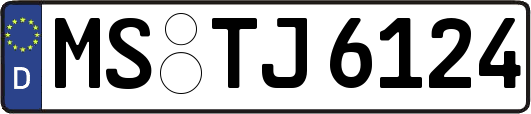 MS-TJ6124