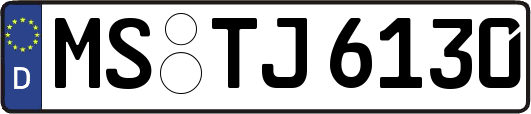 MS-TJ6130