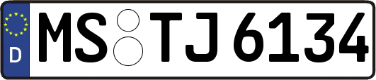 MS-TJ6134