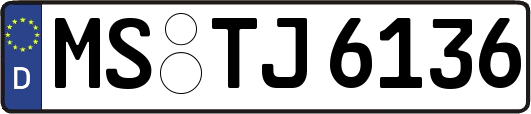 MS-TJ6136