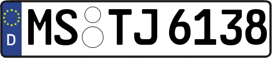 MS-TJ6138