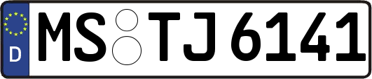 MS-TJ6141