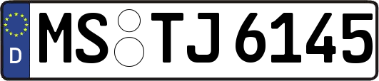 MS-TJ6145