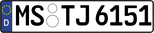 MS-TJ6151