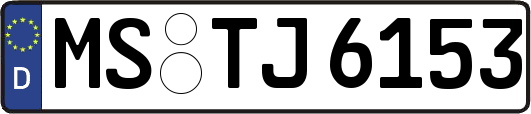 MS-TJ6153